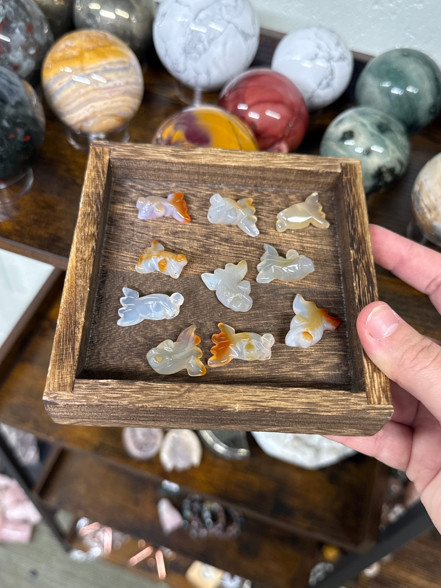 Agate Koi Fish