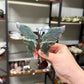 Moss Agate Butterfly Wings