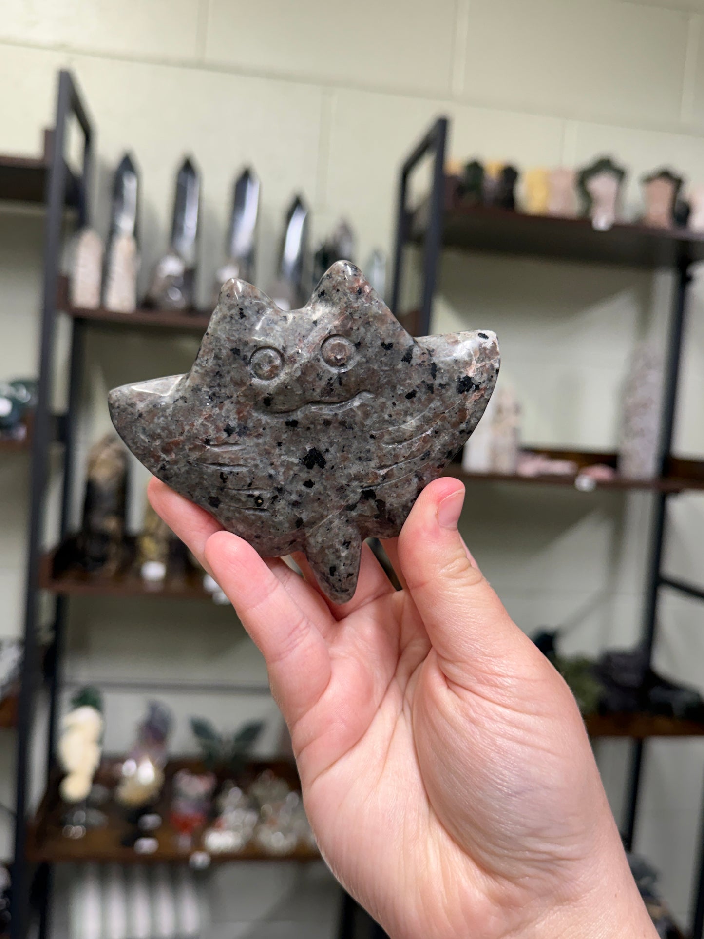 Yooperlite Manta Ray