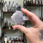 Flower Agate Fish (Choose Your Own!)
