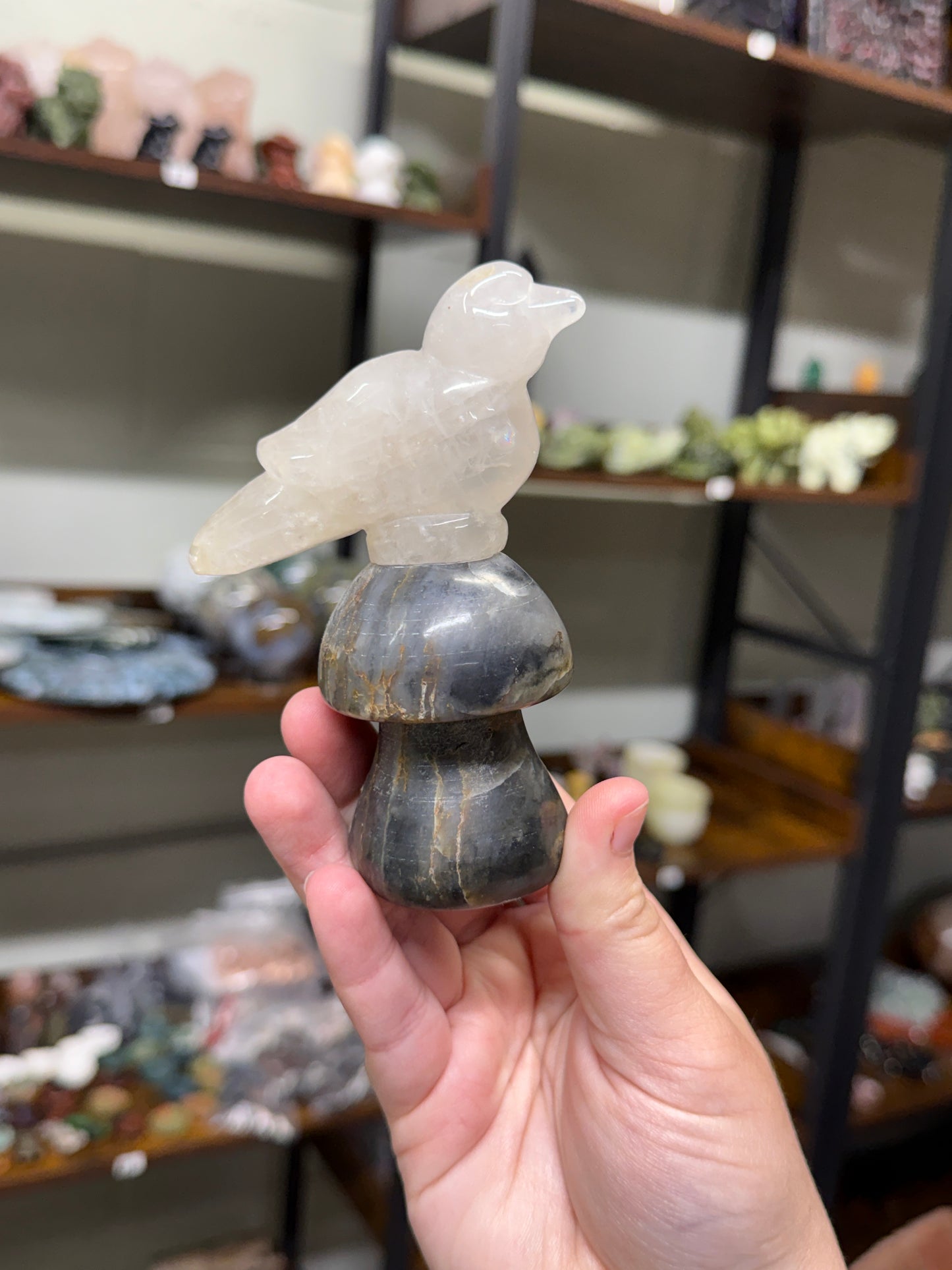 Clear Quartz Bird on Mushroom