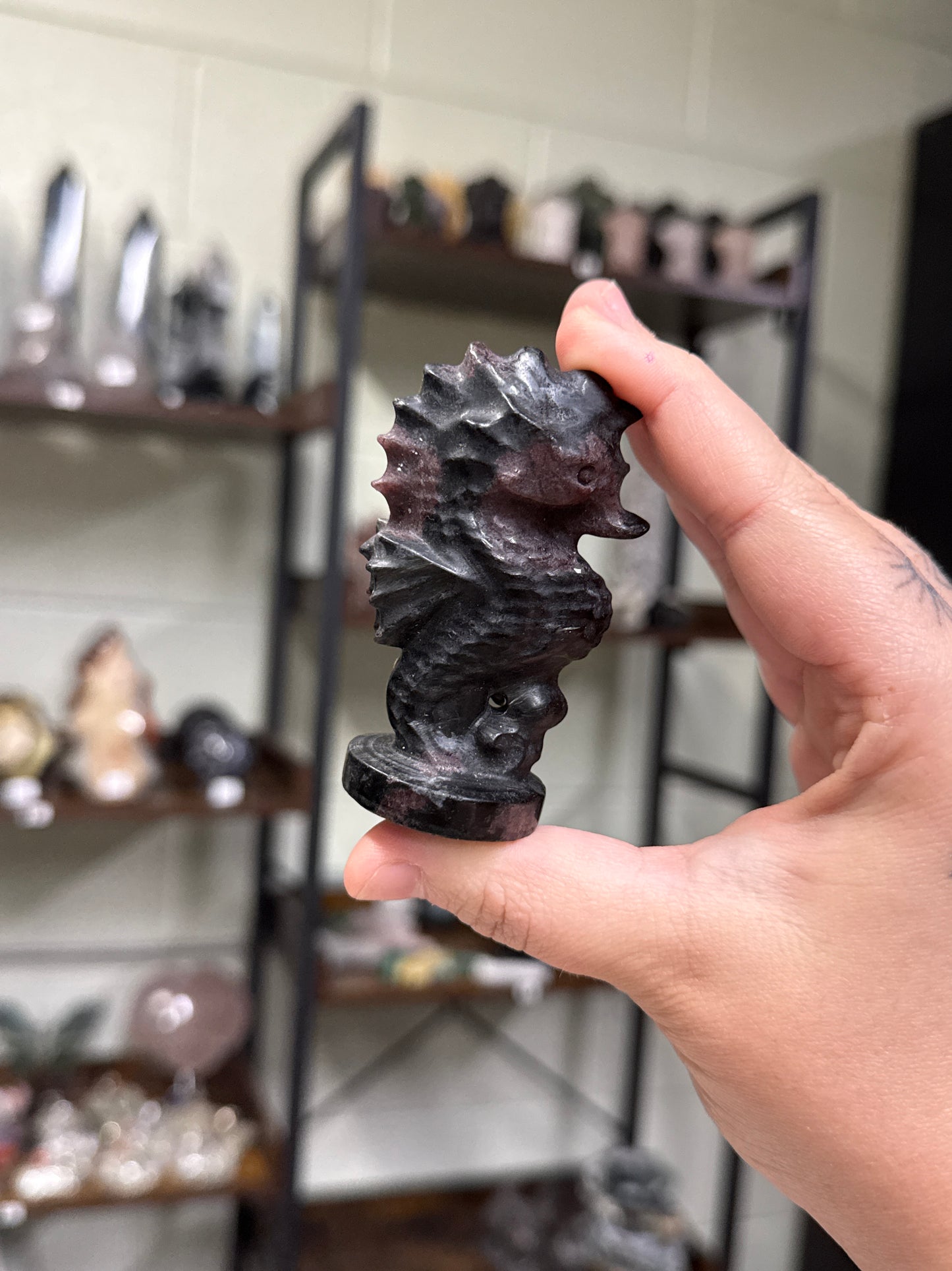 Seahorse Carvings