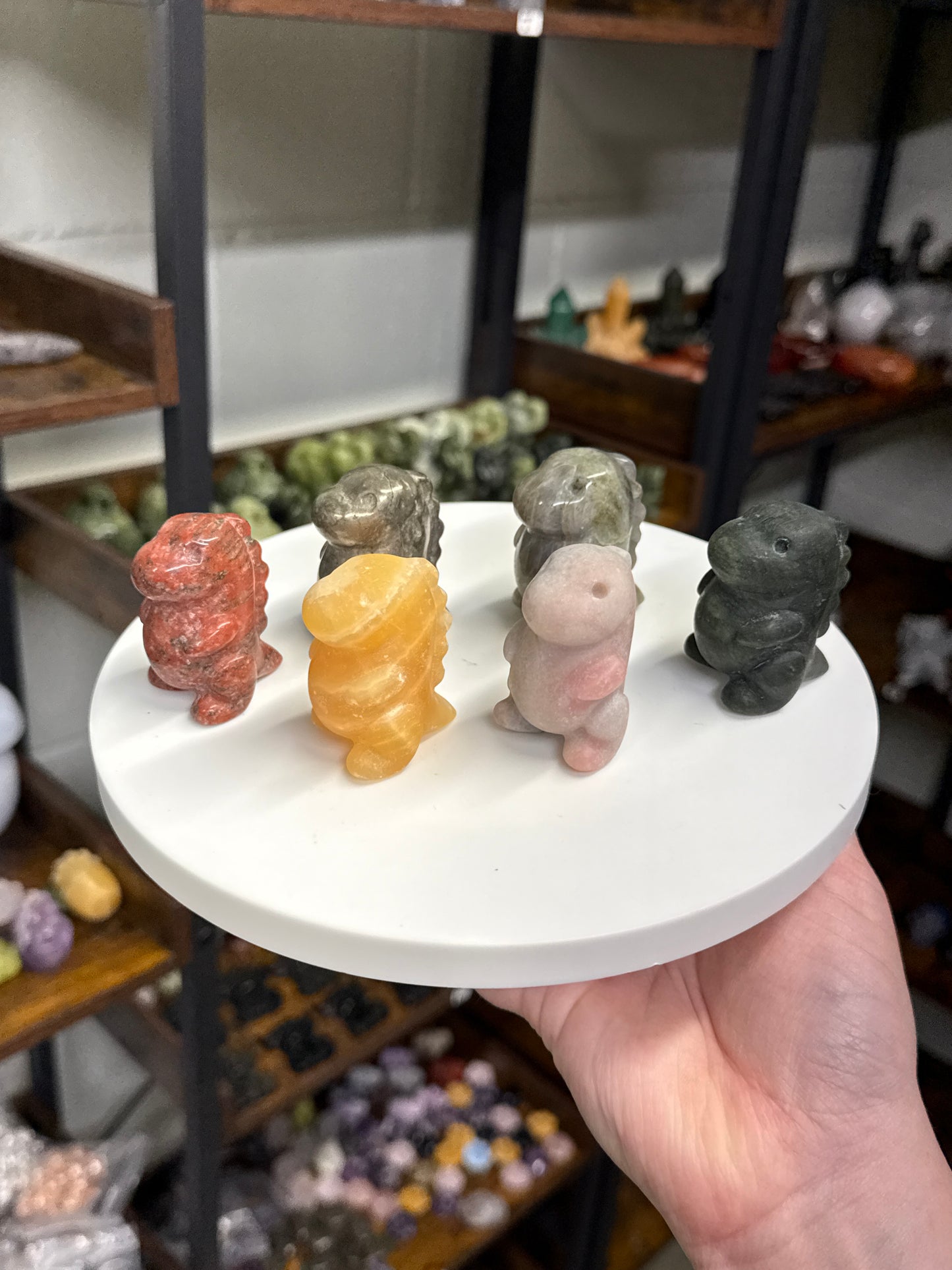 Chubby Dinos