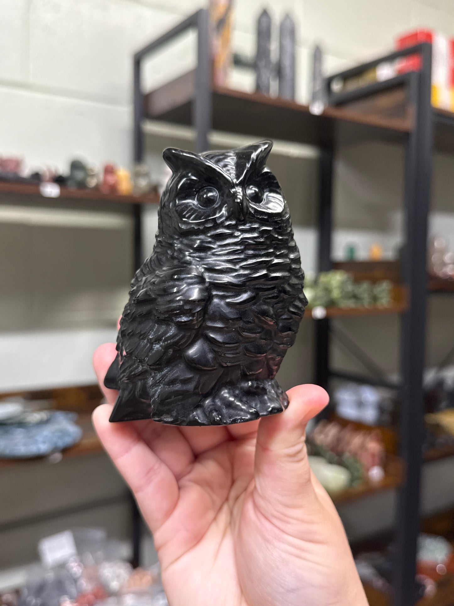Obsidian Owl