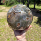 Conniefreeman13