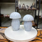 Blue Calcite Mushrooms