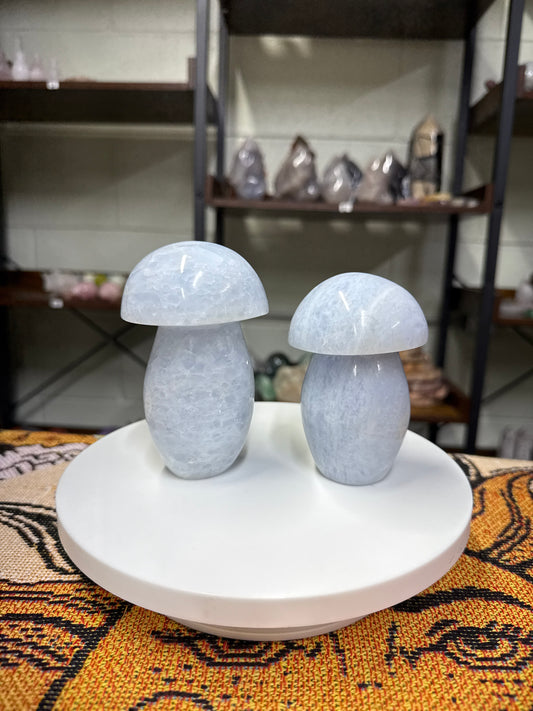 Blue Calcite Mushrooms