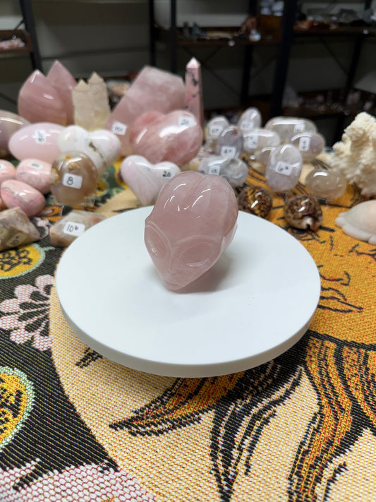 Custom Listing for Nadeenreichert