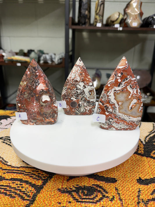 Money Agate Freeforms