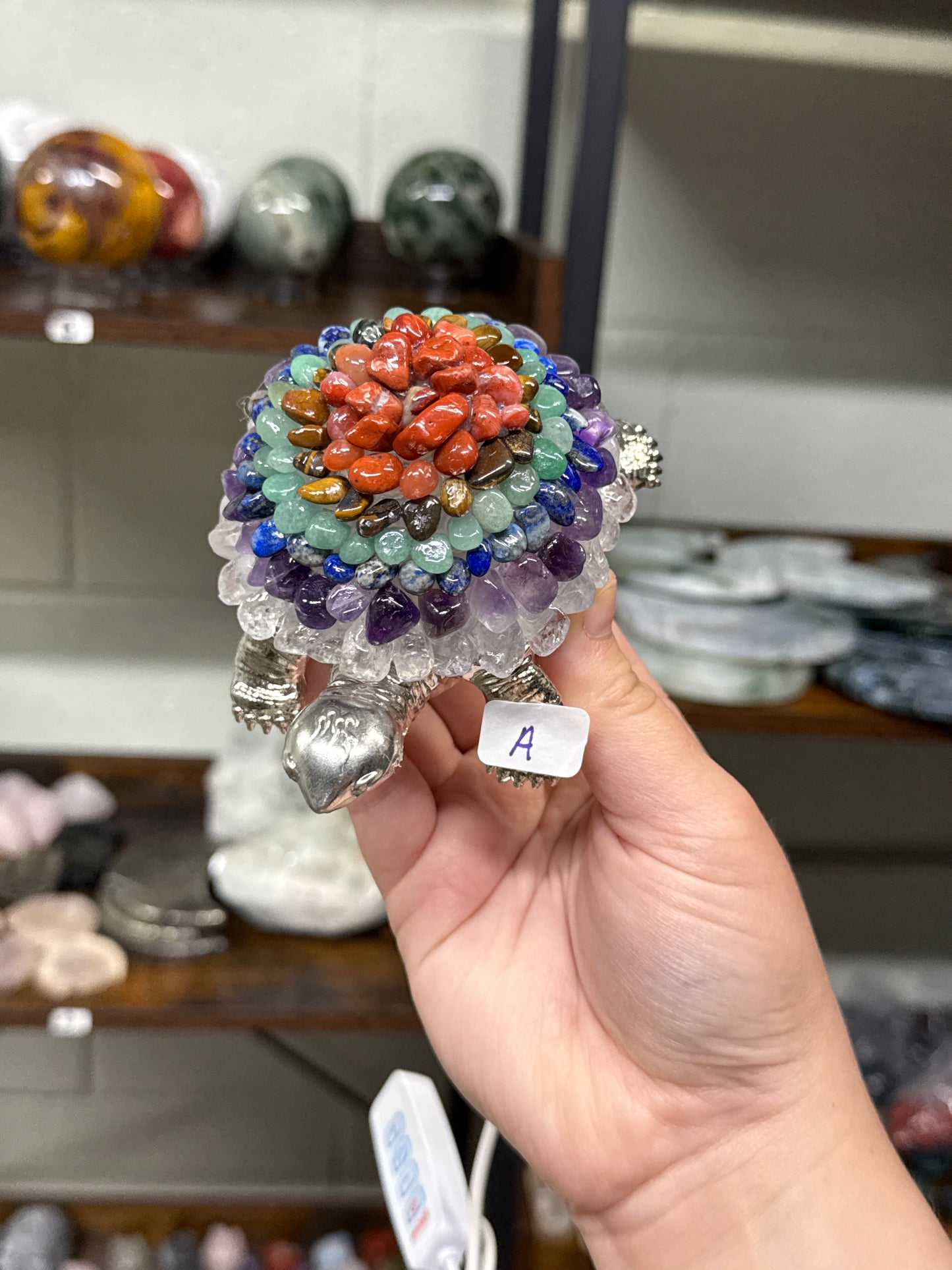 Chakra Turtle Lamps