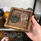 Scarab Carvings
