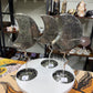 Pyrite Moons
