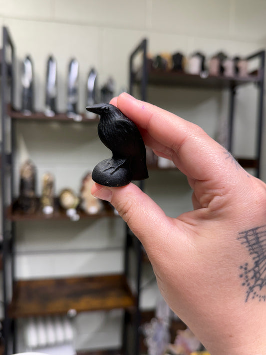 Obsidian Raven