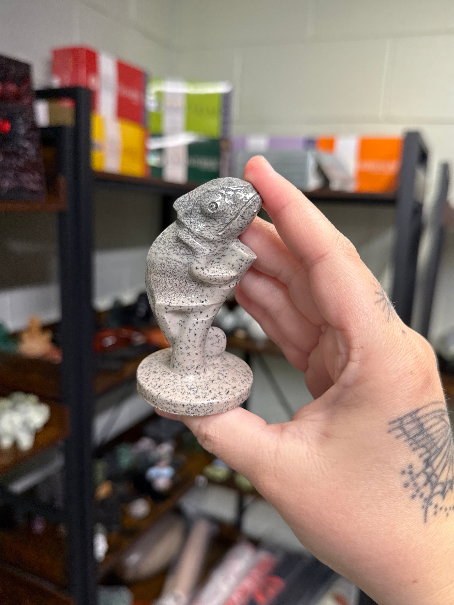 Picture Jasper Chameleon