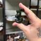 Jade Rams