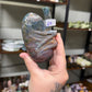 Sea Jasper Kidney (27)