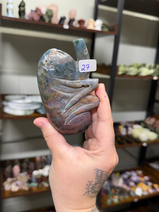 Sea Jasper Kidney (27)