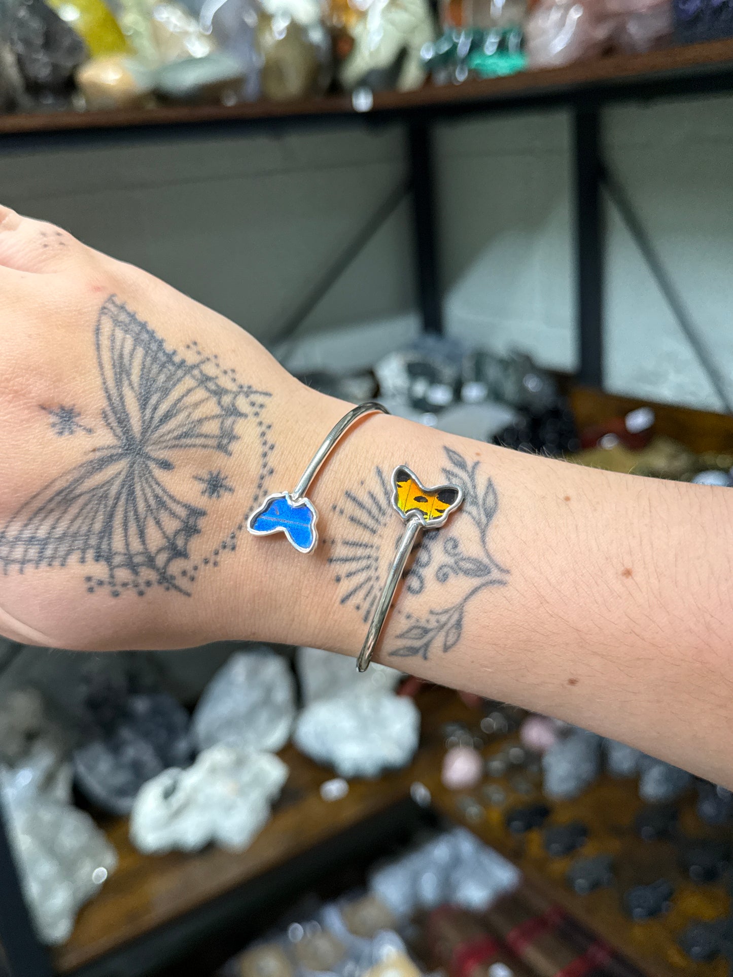 Real Butterfly Bangle (111b)