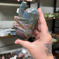 Sea Jasper Kidney (27)