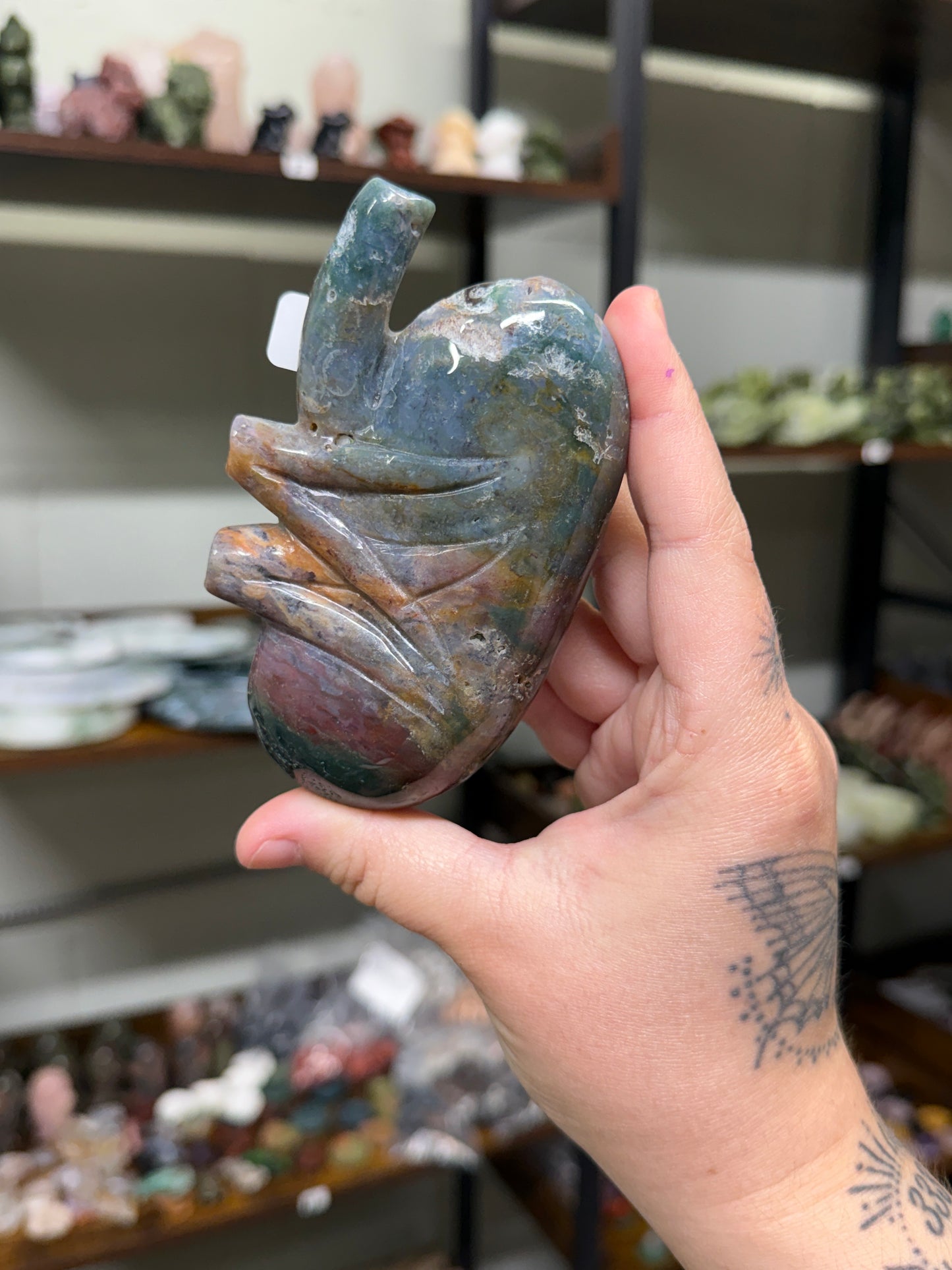 Sea Jasper Kidney (27)