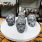 Fossil Shell Skulls