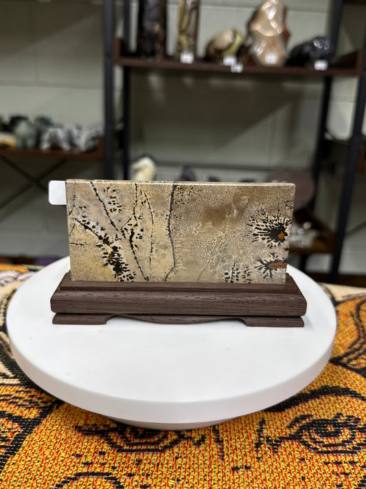 Picture Jasper Slab (B)
