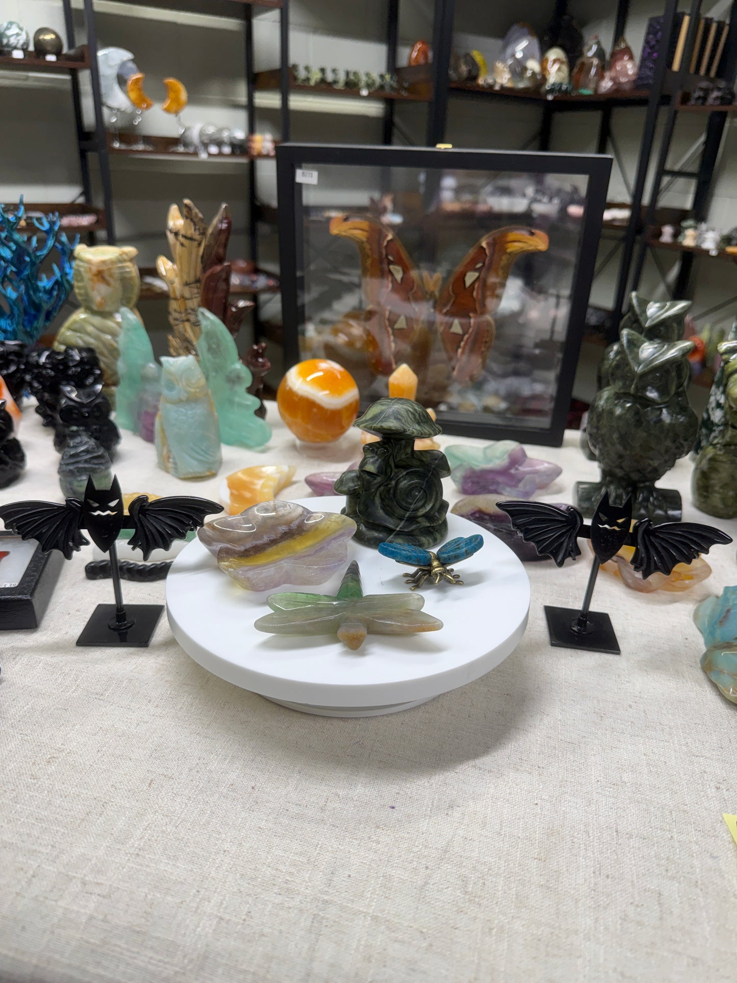 Custom Listing for Nadeenreichert