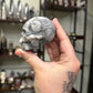 Fossil Shell Skulls